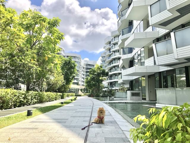 Corals at Keppel Bay