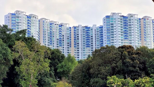 The Bayshore