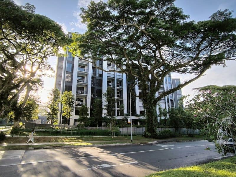 Mayfair Gardens