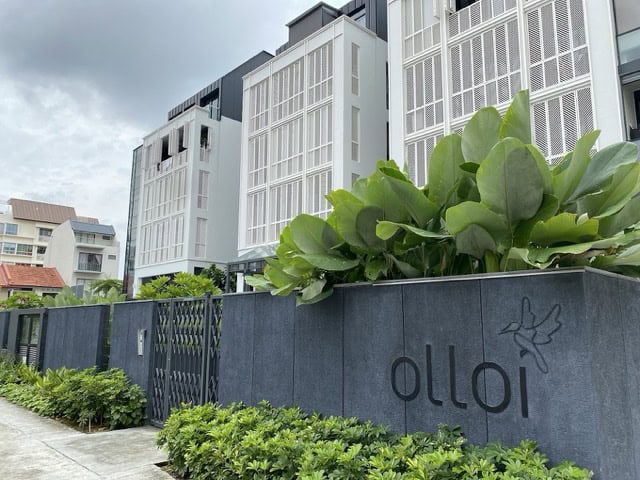 Olloi